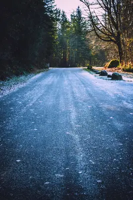 Kanaskat-Palmer State Park