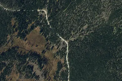 Logged Area