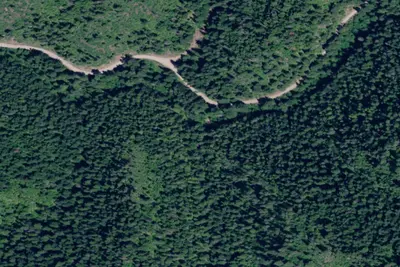 Rd 437 Site 16