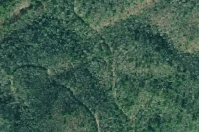 Camp site