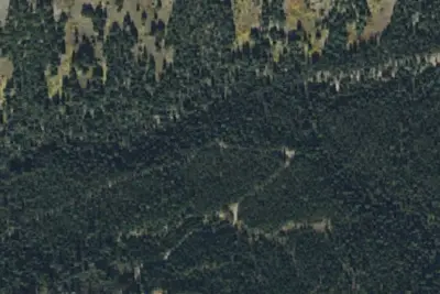 Darroch Creek Road-006
