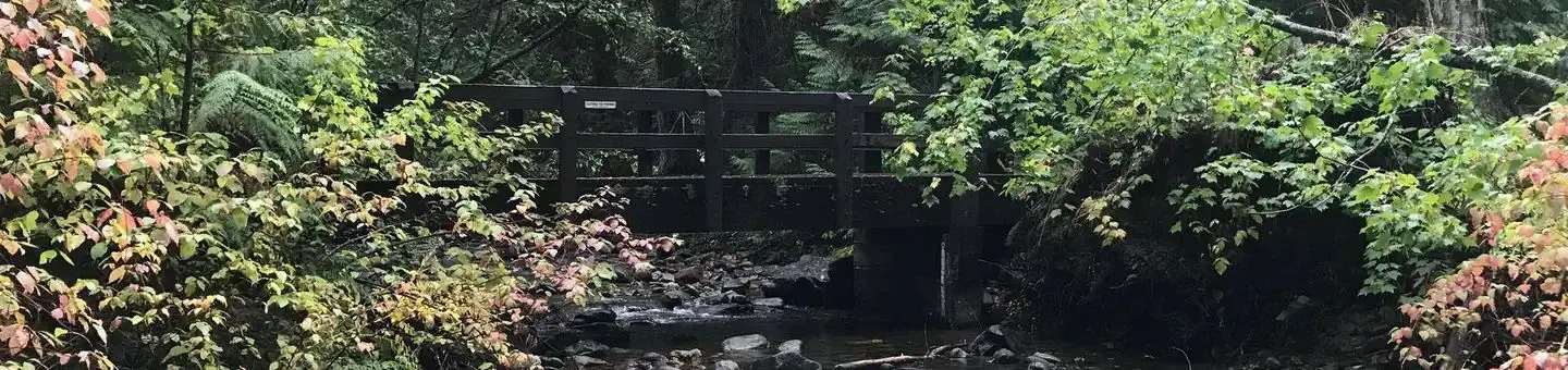 Bridge to Fish Creek Amphitheater within the campground.