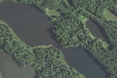 Beetle Lake Site 1