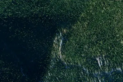 Tr335 Site 1
