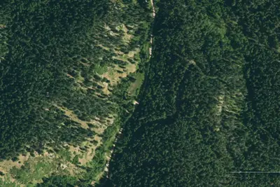 Ophir Creek Campground (CO)