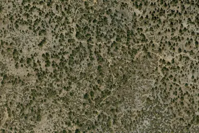 Camp site