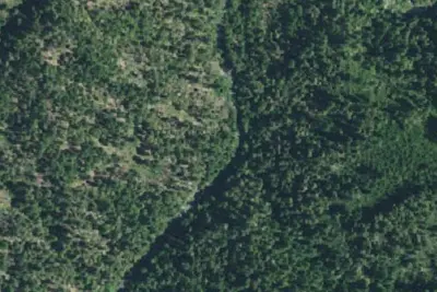 Camp site