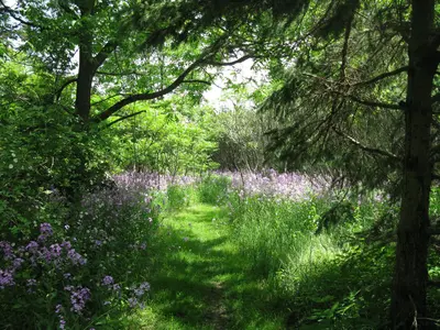 Waterview Trail - Bass Lake - panoramio