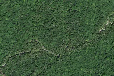 Camp site