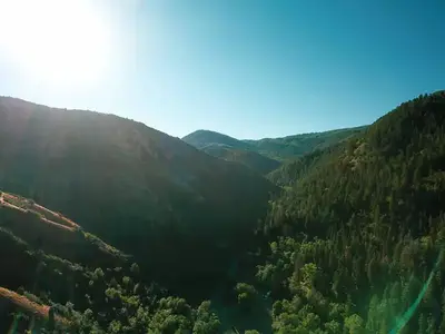 Balsam Campground 2