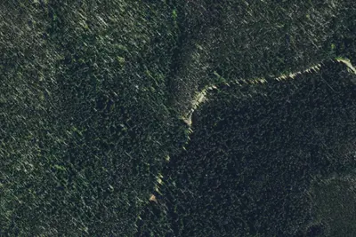 Little Gold Creek-001