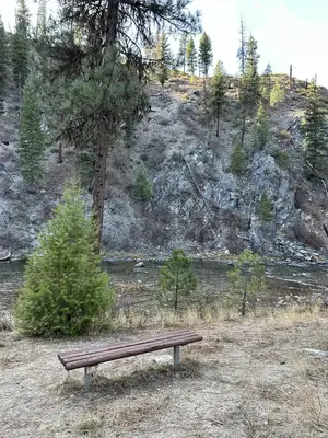 Bench in front of river