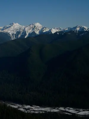 Hoh River, Washington - panoramio