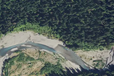 Hoh River Dispersed Camping
