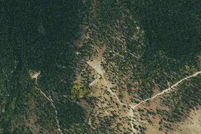 Camp site