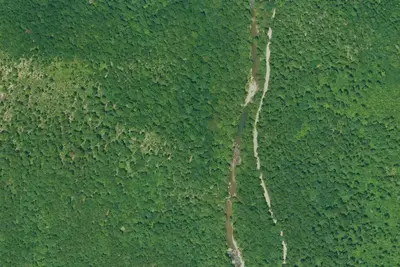 Camp site