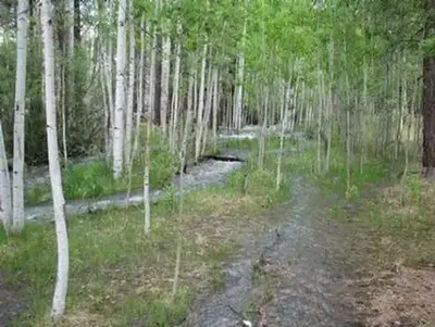 Benny creek group area1