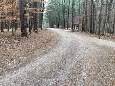 A photo of Saddle Lake Campground