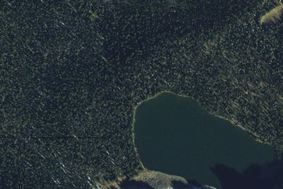 Crescent Lake