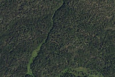 Moss Creek