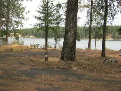 Campsite with trees and river in the background