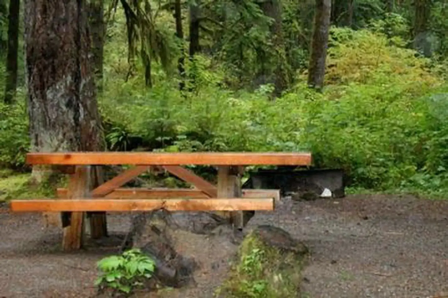 Park Creek Campground