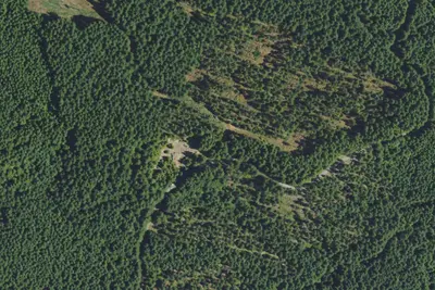 Cougar dispersed camping