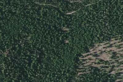Primitive Camping Area