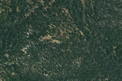U.S. Forest Service Site 4