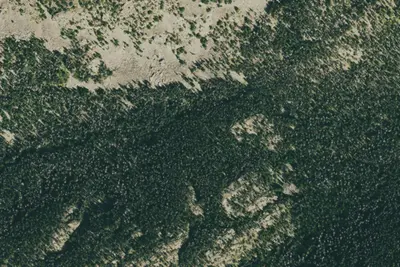 Site 4