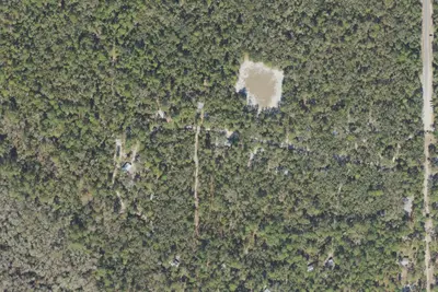 Paisley, FL Site 5b