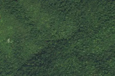Camp site