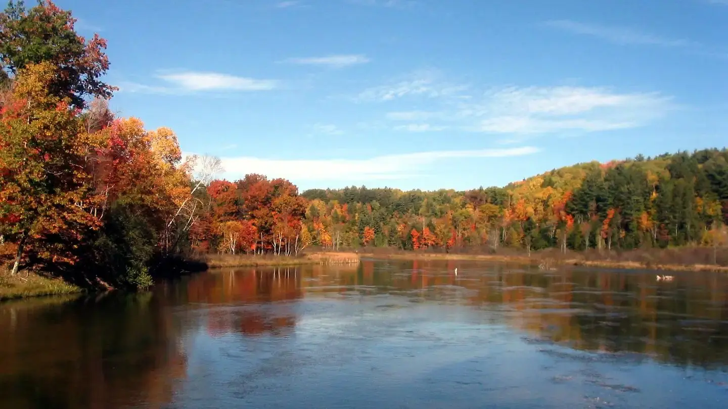 Fall colors from Red Bridge River Access Site.