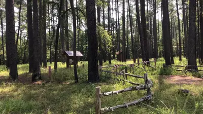 Poulous Loop Group Campground (SC)
