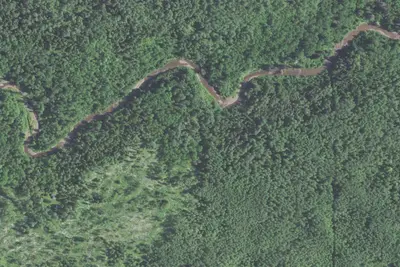 Gooseberry River