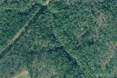 Camp site