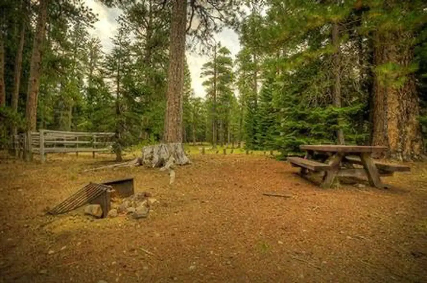 Whispering Pines Horse Camp