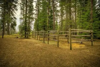 Whispering Pines Horse Camp