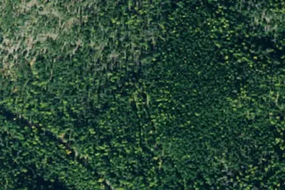 Tr311 Site 1