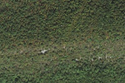 Camp site