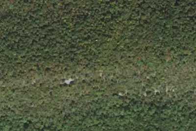 Camp site