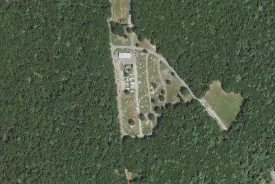 Cathedral Pines
