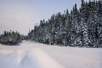 2016-12 Réserve faunique des Laurentides 04