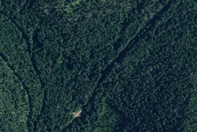 Rd 215 Site 12