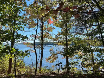 Leesylvania SP 10-21-21-River View