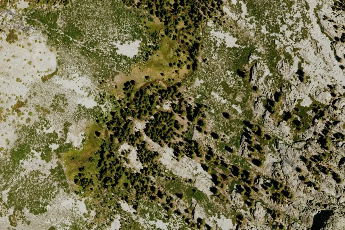 Aerial view