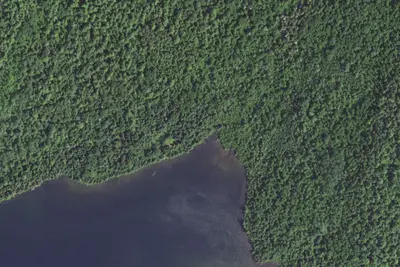 Caribou Lake #3
