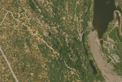 Mesquite Dispersed Camping