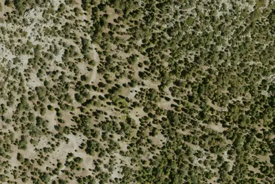 Black Mountain Yellow Post Sites