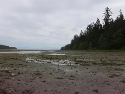 Kadake bay cabin4